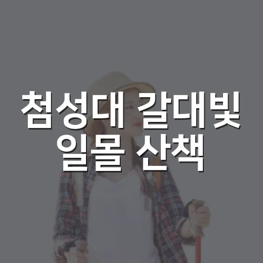첨성대 갈대빛 일몰 산책