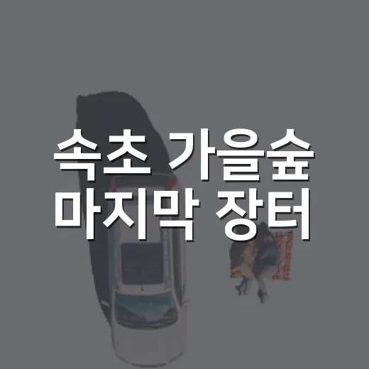 속초 가을숲 마지막 장터