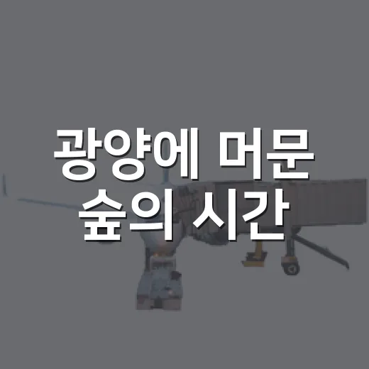 광양에 머문 숲의 시간