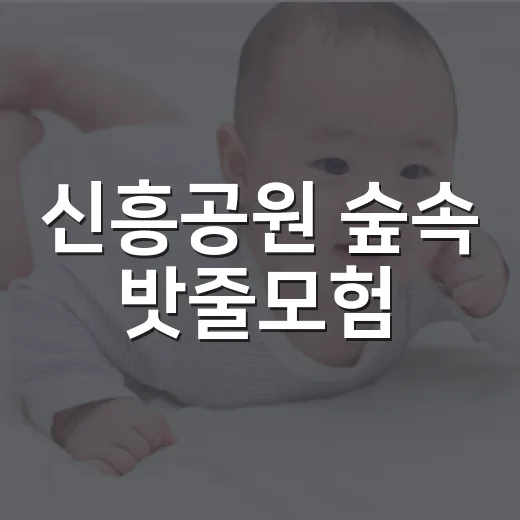 신흥공원 숲속 밧줄모험