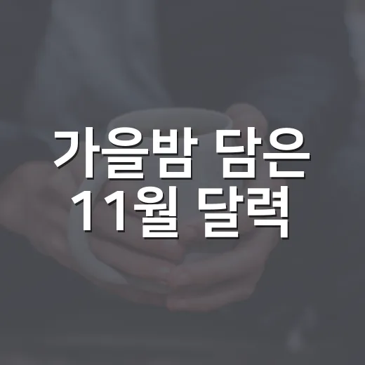 가을밤 담은 11월 달력
