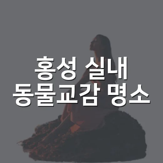 홍성 실내 동물교감 명소