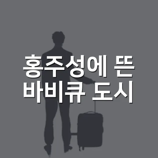 홍주성에 뜬 바비큐 도시