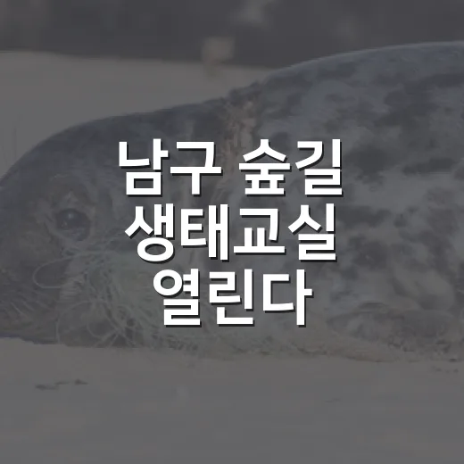 남구 숲길 생태교실 열린다