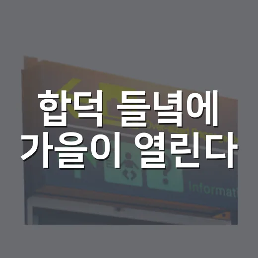 합덕 들녘에 가을이 열린다