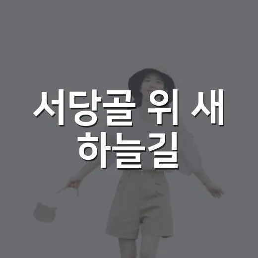 서당골 위 새 하늘길