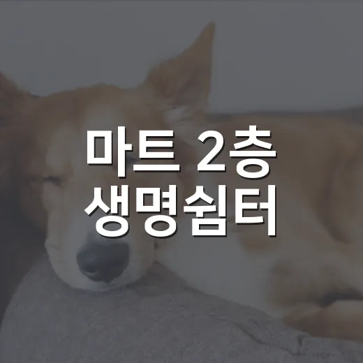 마트 2층 생명쉼터