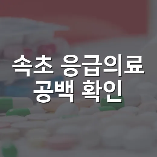 속초 응급의료 공백 확인