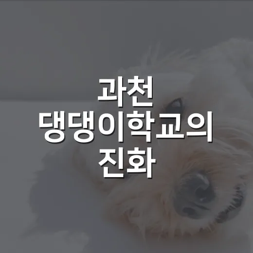 과천 댕댕이학교의 진화