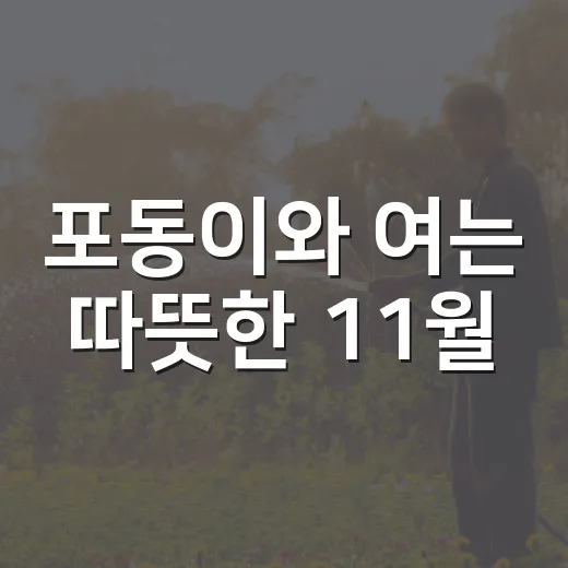 포동이와 여는 따뜻한 11월