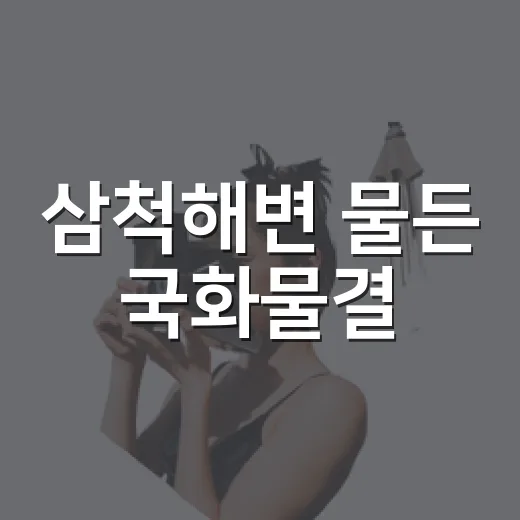 삼척해변 물든 국화물결
