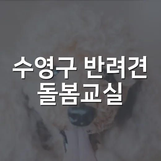 수영구 반려견 돌봄교실