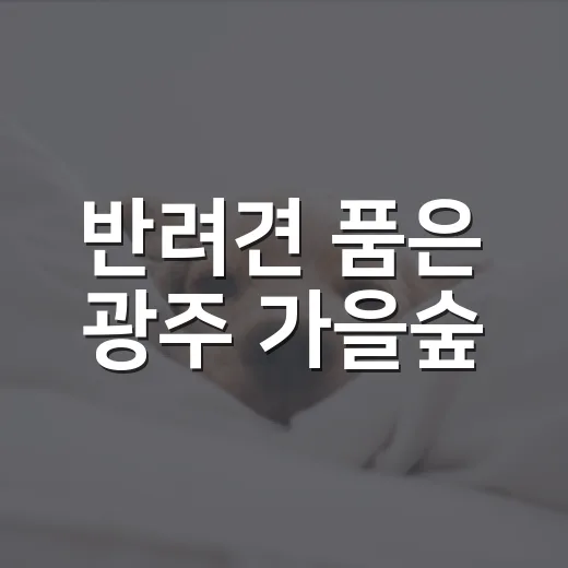 반려견 품은 광주 가을숲