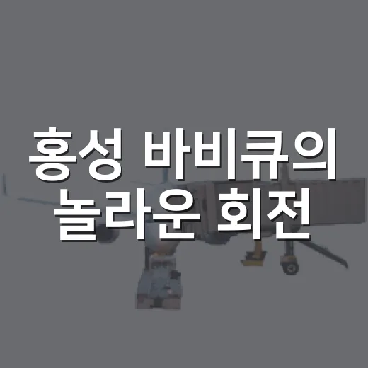 홍성 바비큐의 놀라운 회전
