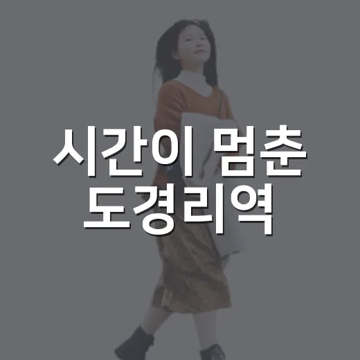 시간이 멈춘 도경리역