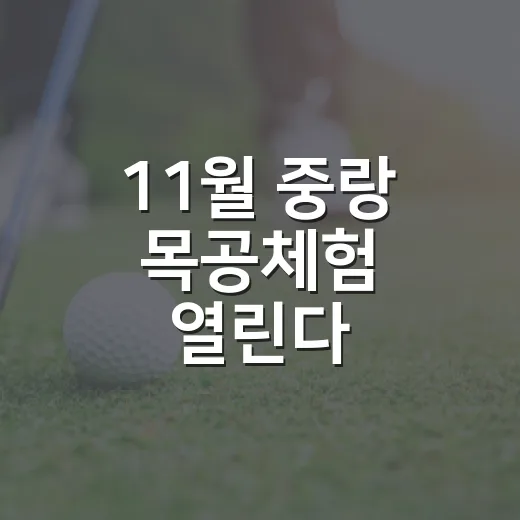 11월 중랑 목공체험 열린다