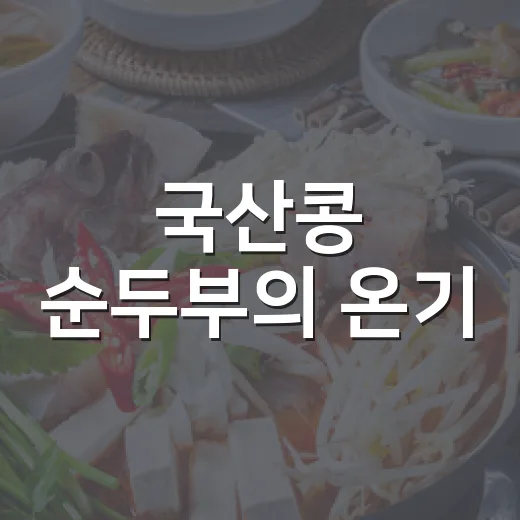 국산콩 순두부의 온기