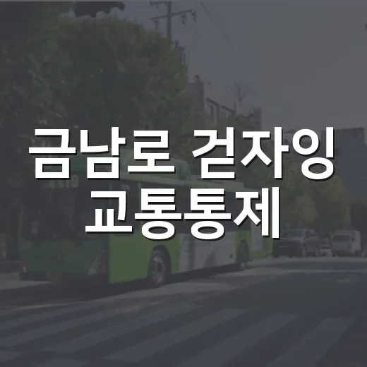 금남로 걷자잉 교통통제