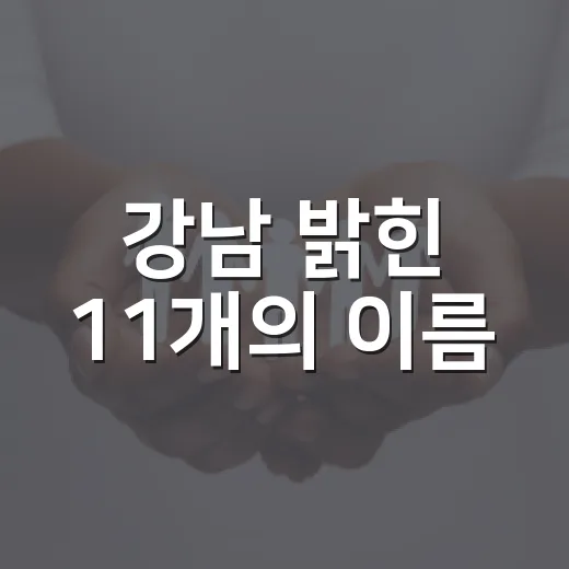 강남 밝힌 11개의 이름