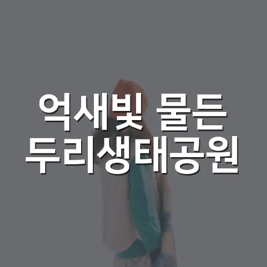 억새빛 물든 두리생태공원