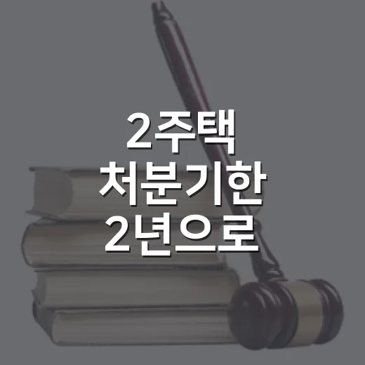 2주택 처분기한 2년으로