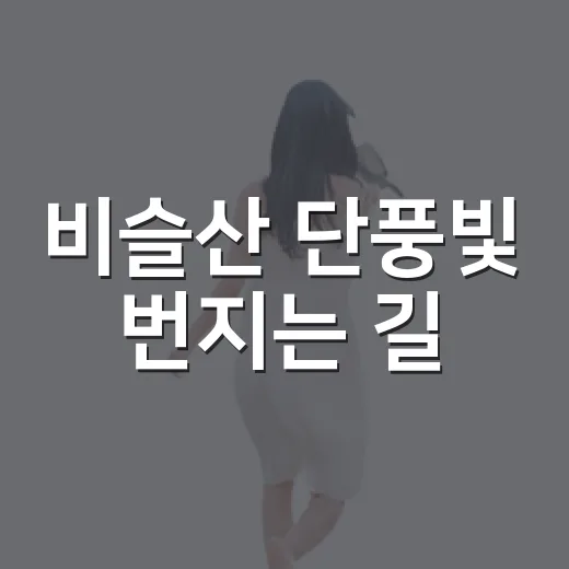 비슬산 단풍빛 번지는 길