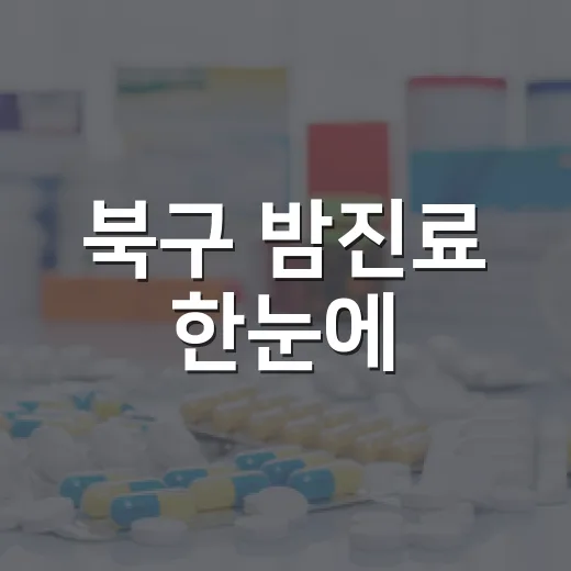북구 밤진료 한눈에