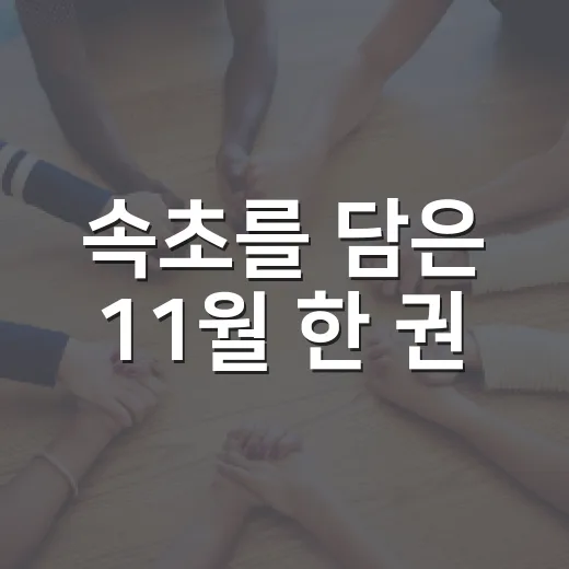 속초를 담은 11월 한 권