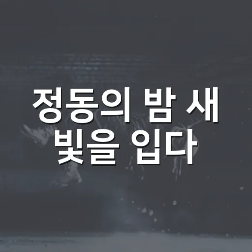 정동의 밤 새 빛을 입다