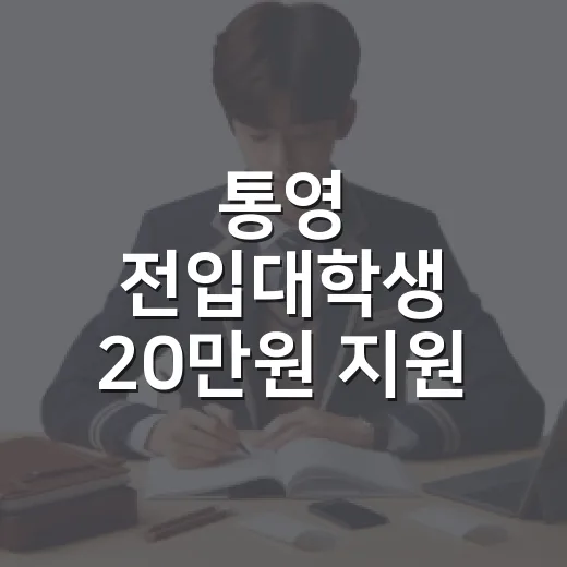 통영 전입대학생 20만원 지원