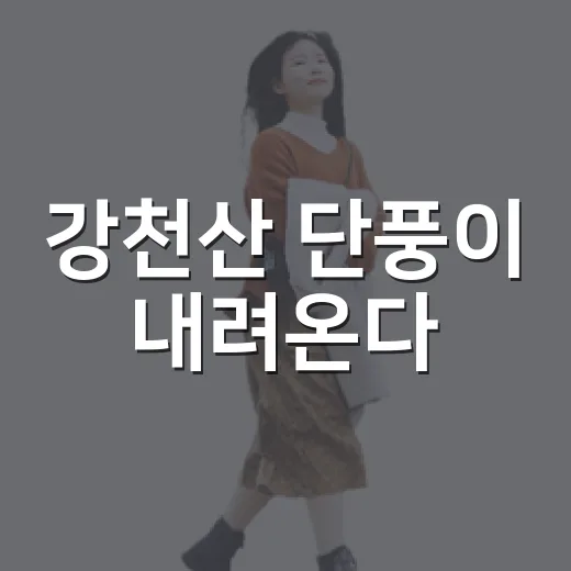 강천산 단풍이 내려온다