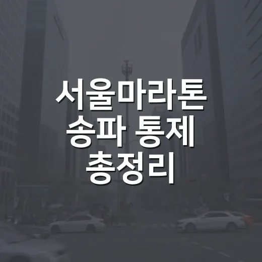 서울마라톤 송파 통제 총정리
