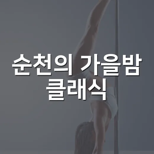 순천의 가을밤 클래식