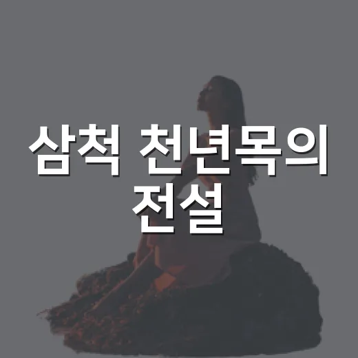 삼척 천년목의 전설