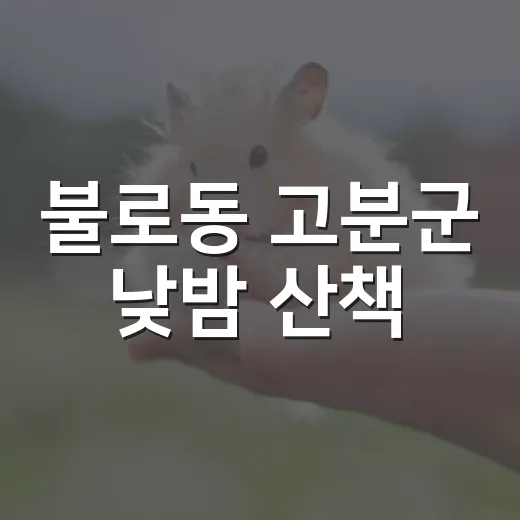 불로동 고분군 낮밤 산책