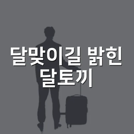 달맞이길 밝힌 달토끼