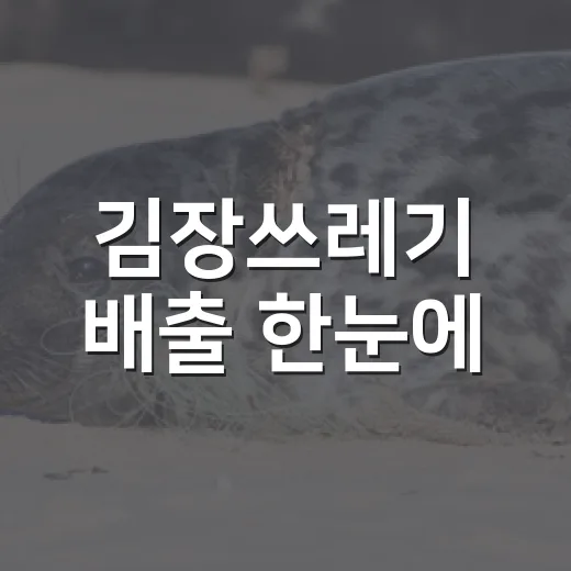 김장쓰레기 배출 한눈에