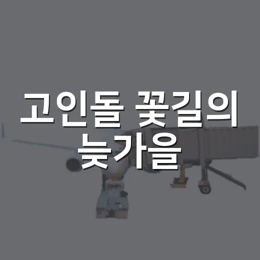 고인돌 꽃길의 늦가을