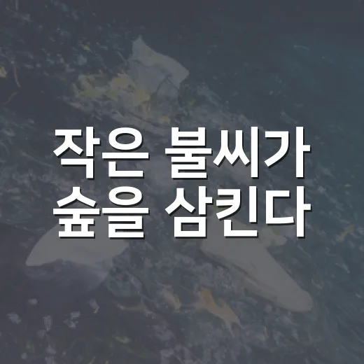 작은 불씨가 숲을 삼킨다