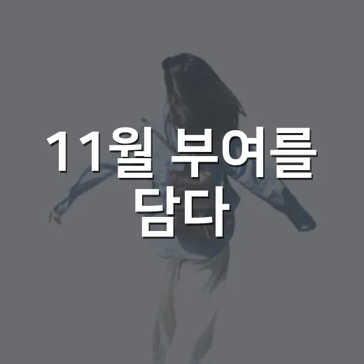 11월 부여를 담다
