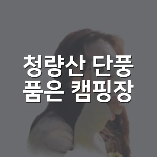 청량산 단풍 품은 캠핑장