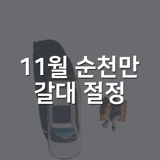 11월 순천만 갈대 절정