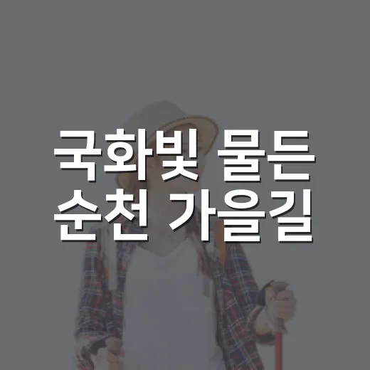 국화빛 물든 순천 가을길