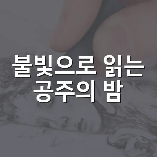 불빛으로 읽는 공주의 밤