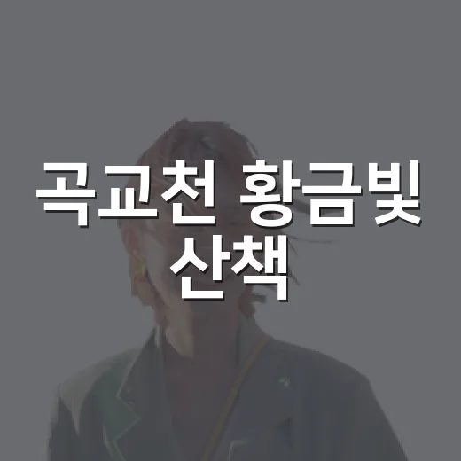 곡교천 황금빛 산책
