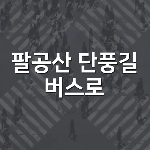 팔공산 단풍길 버스로
