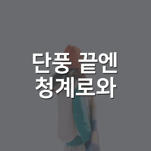 단풍 끝엔 청계로와