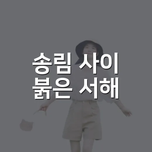 송림 사이 붉은 서해